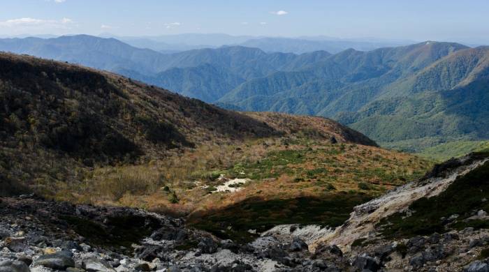 老人家电消费今年突然异动,能否在一线市场引爆商机?-家电圈官网