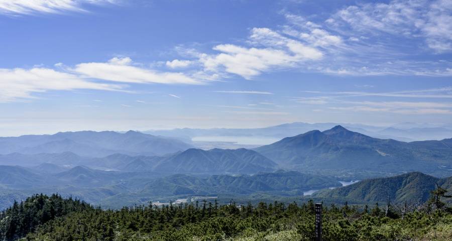 家电细分市场终于开始下雨了-家电圈官网