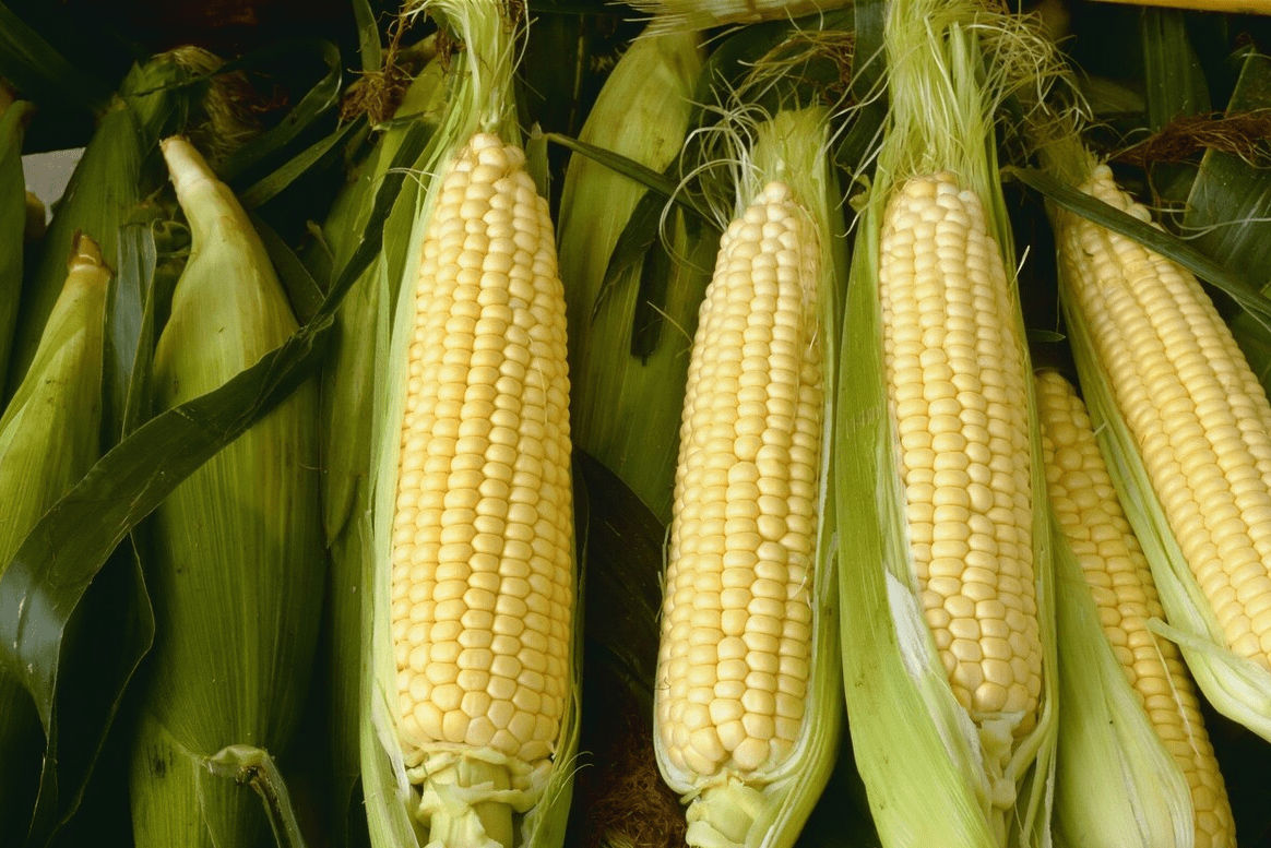 营养|秋天，多给家人吃6种“高镁”食物，营养润燥解秋乏，精神过秋季