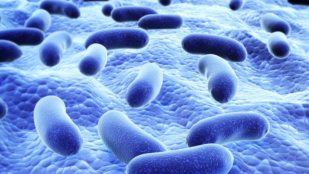 细菌内毒素检测标准是什么哪里可以做