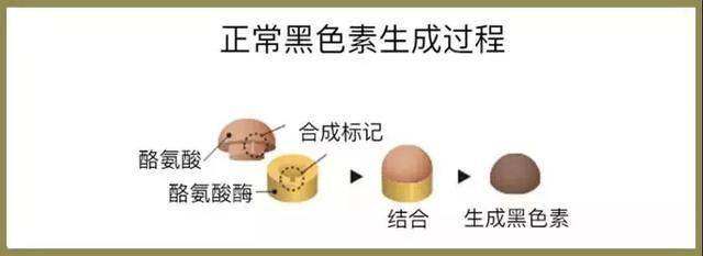 侵袭|真的有晒不黑的人么？