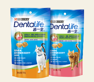 猫咪|养猫注意事项,干货分享你一定不知道的养猫注意事项