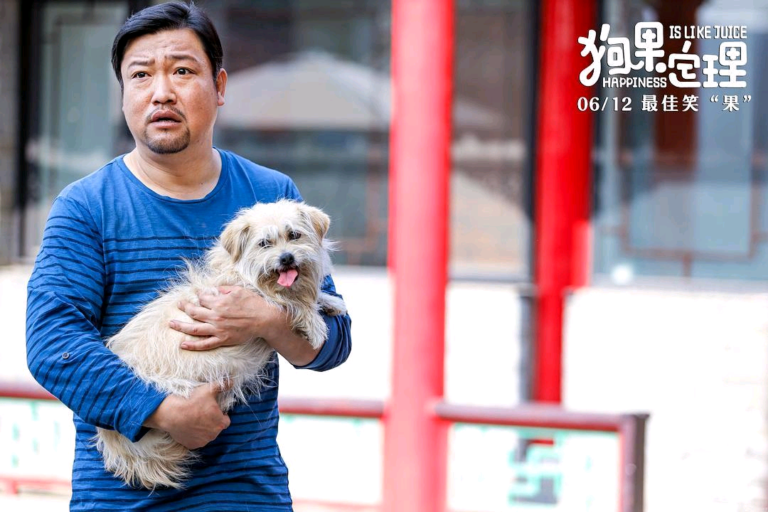 电影|于谦贾冰新片《狗果定理》发布最新预告,剧情都讲了些啥?