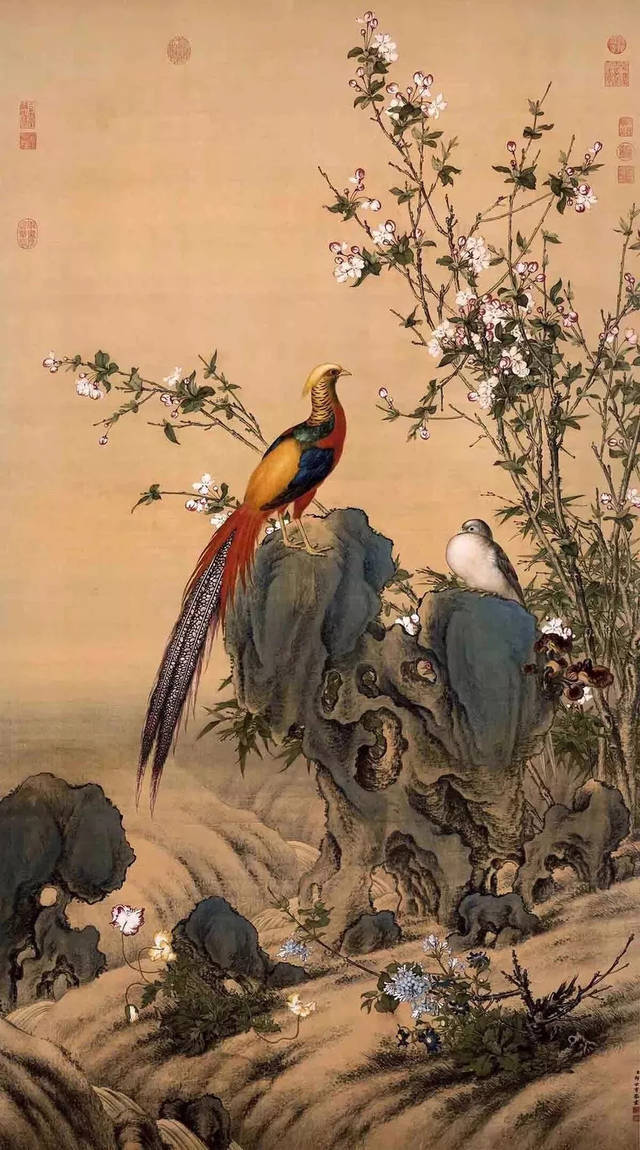 国画欣赏】——郎世宁《锦春图》_搜狐网