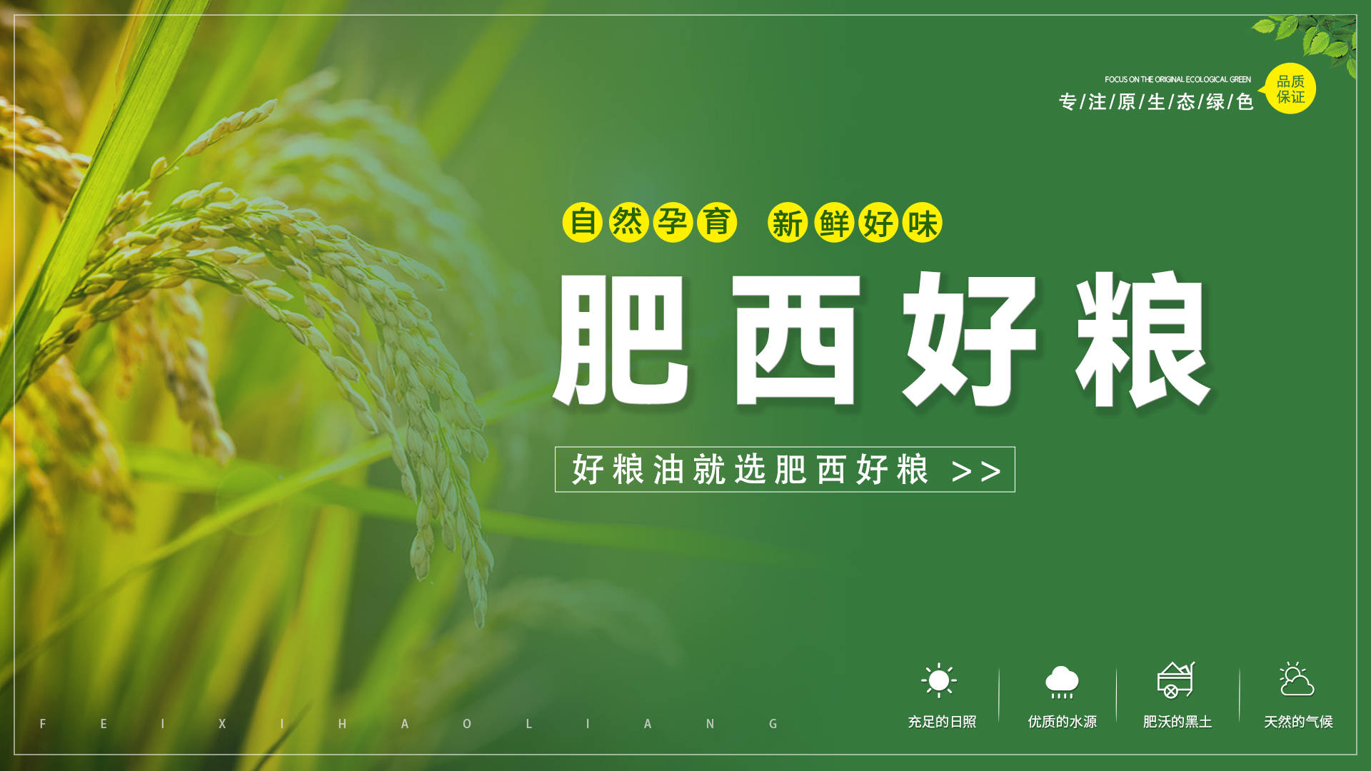 好粮油就选肥西好粮