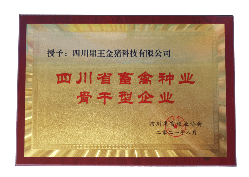 喜報鼎王金豬榮獲四川省畜禽種業骨幹型企業稱號