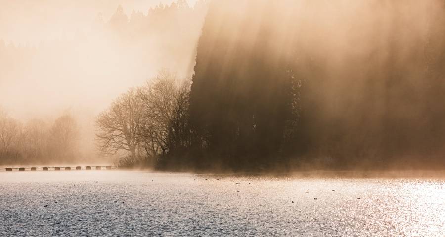 彩电市场未来真的会“大屏”有可为?-家电圈官网