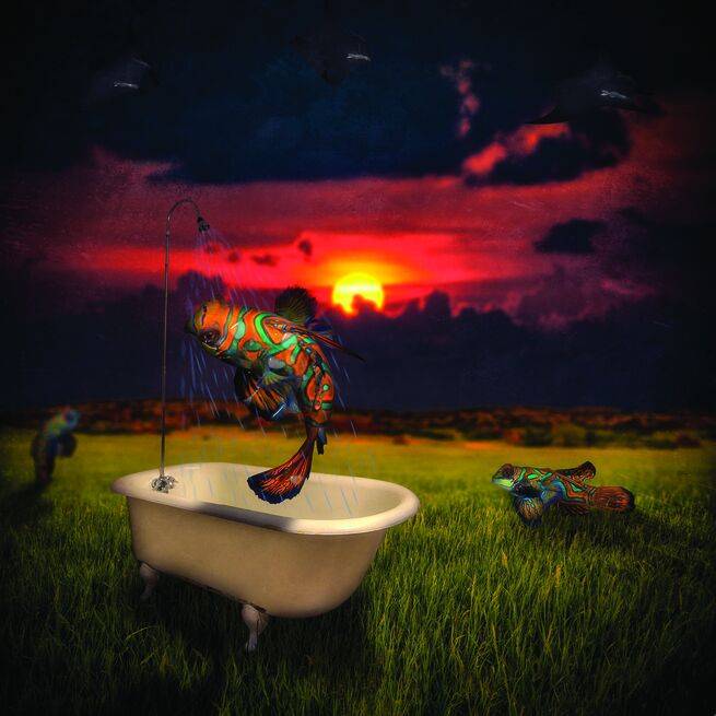 艺术家的脑洞,不服不行!欢迎来到超现实主义的奇幻世界