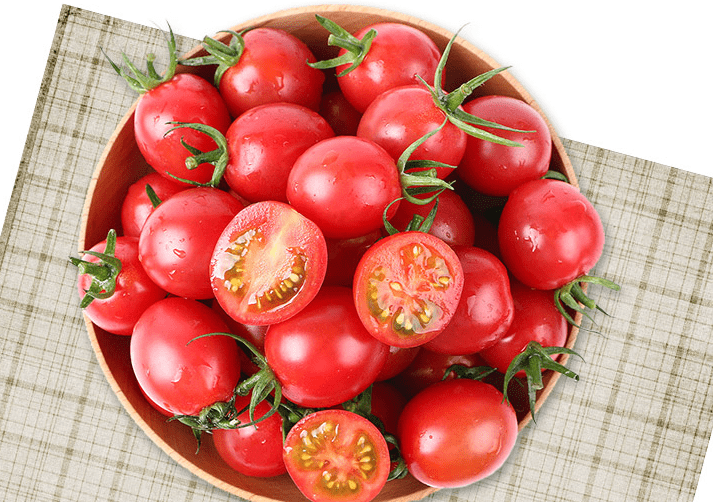 千禧果和圣女果 最简单的识别方法_品种