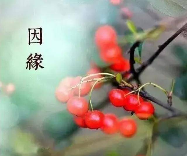 f108f8b427a44986a755c5a693fbbe14.jpeg