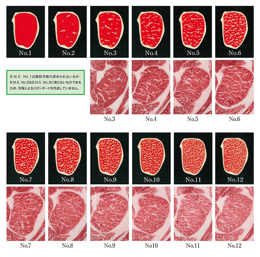 關於西冷、肉眼、菲力牛排的區分_進口- 中國熱點