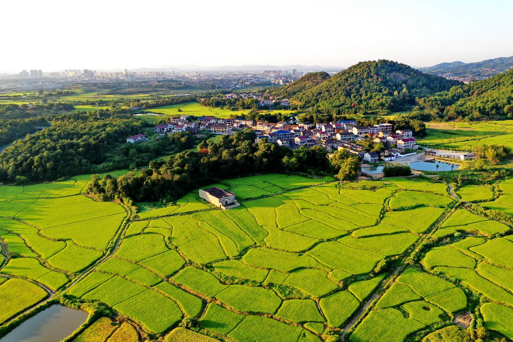 2021年9月22日,江西省抚州市金溪县秀谷镇徐坊村,青山,田园,公路与