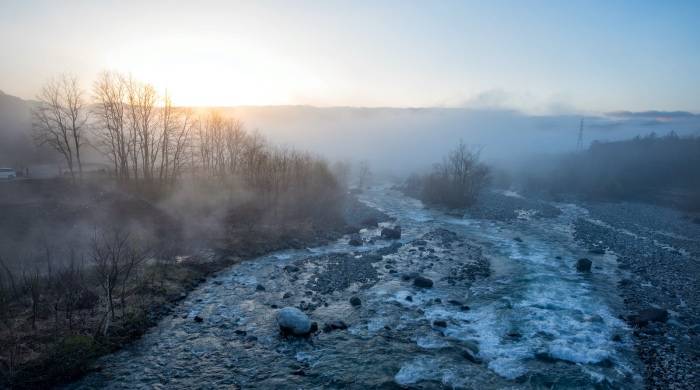 大电到小电易但小电到大电难？家电企业不同生态路径没标准答案-家电圈官网