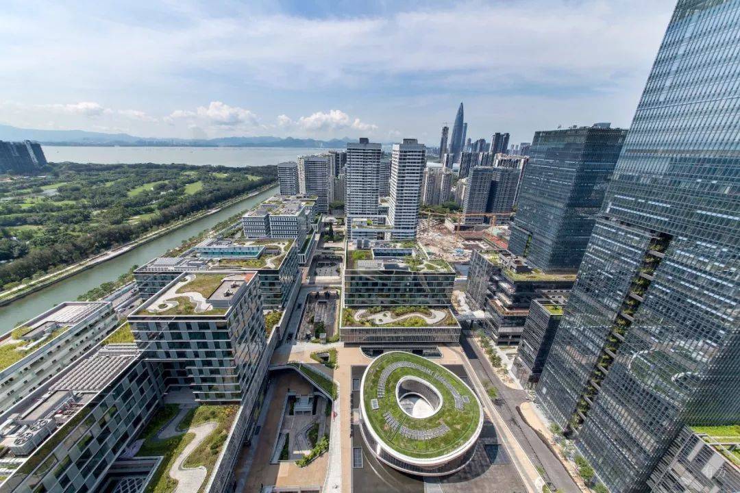 深圳湾科技生态园设计图片