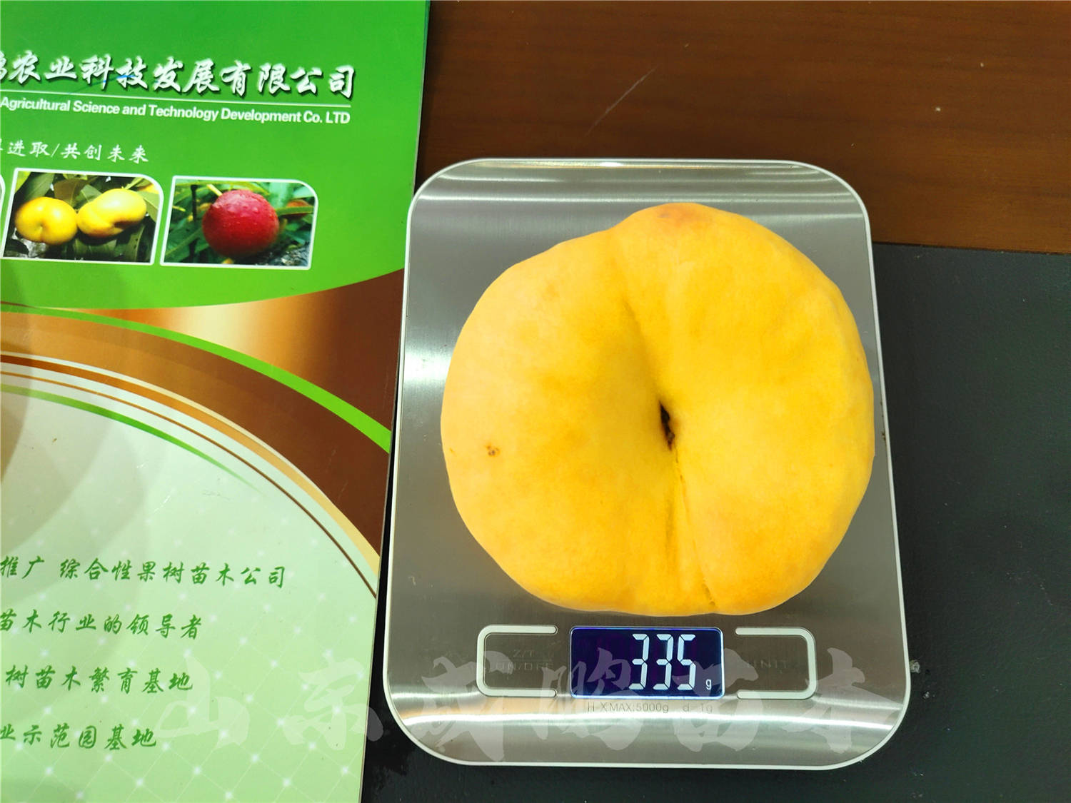 中秋晚熟蜜蟠桃品种