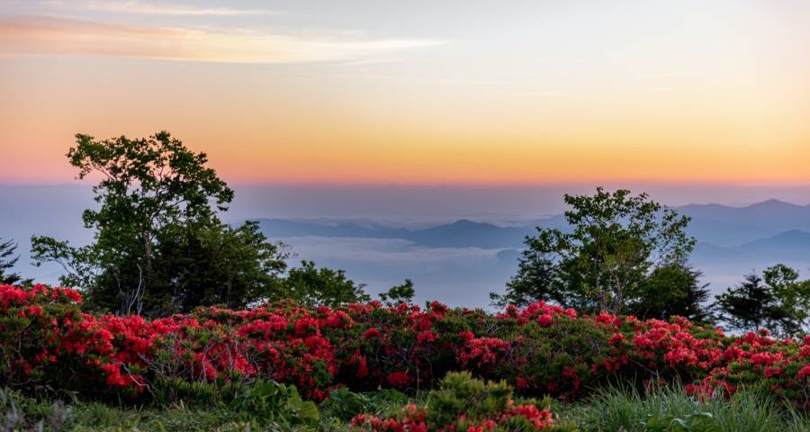 家电业正在告别大规模争霸时代-家电圈官网