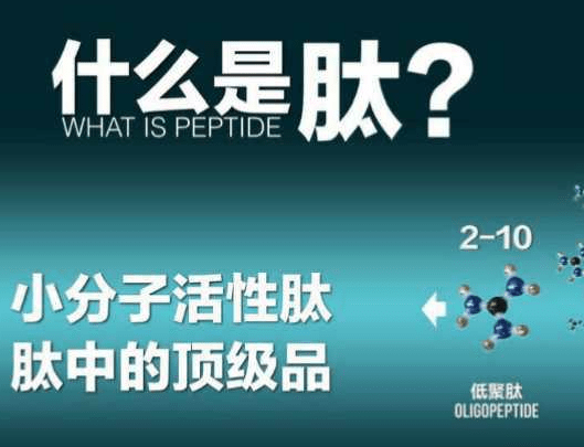 元旦晚会舞蹈