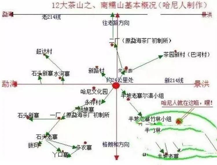 茶园|【普洱茶山行】云南西双版纳南糯山古茶山寻茶记一一拔玛寨