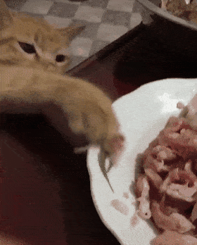 虾壳怎么做给猫吃