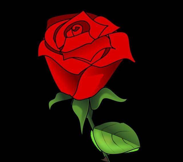 10月开始 紫气东来 运势更上一层楼 财运高照的四大生肖 属猪 新闻时间