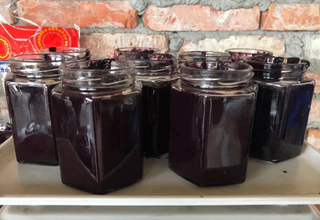 身体|桑葚酒常喝好处多，尤其是男人，别说我不告诉他