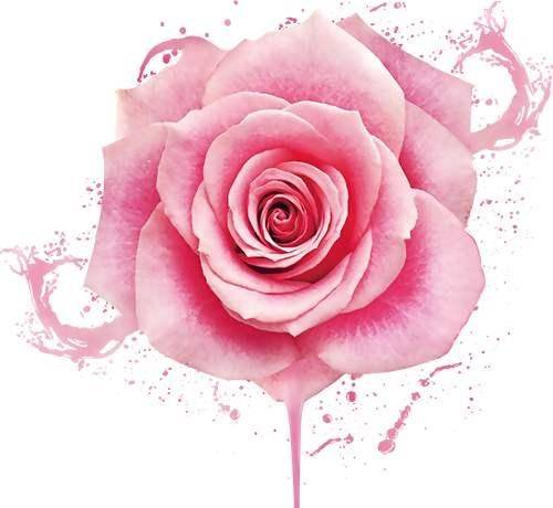 一生一世|这四大生肖女，生的每一个孩子都优秀，一胎青龙二胎凤凰！