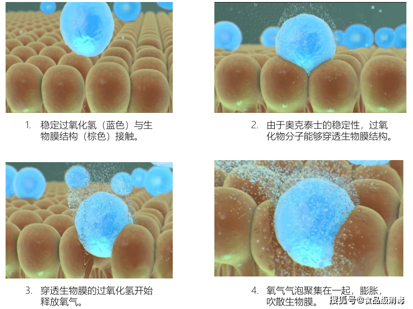 一種去除生物膜的方法