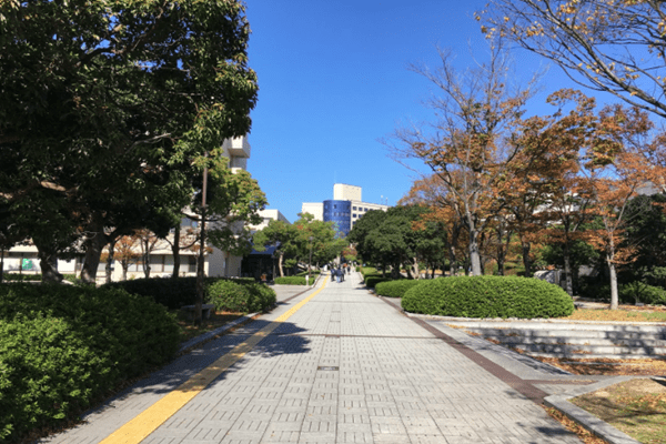 柠檬日本大学巡礼和歌山大学怎么样