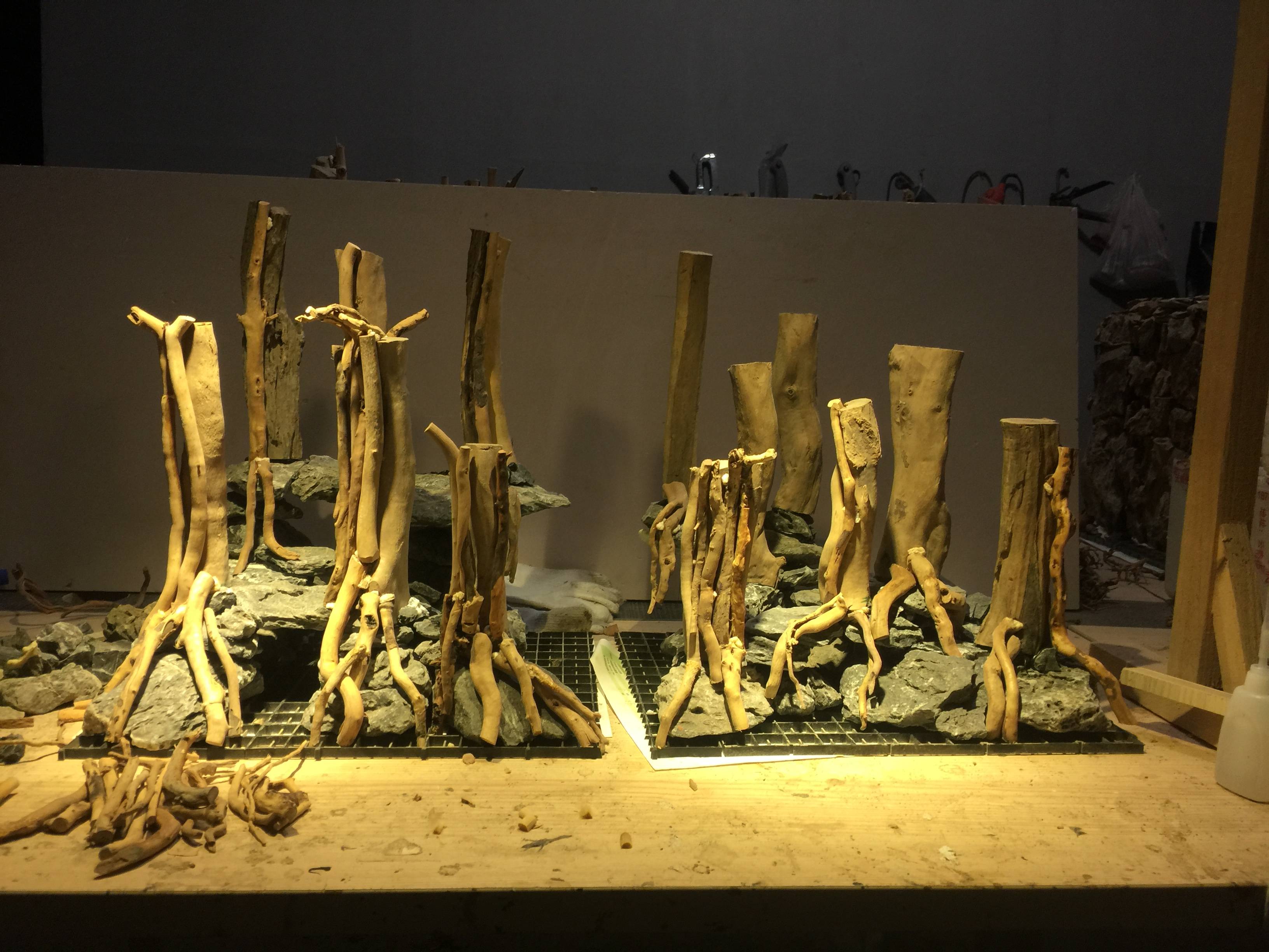 成群的八零缸莫斯树草缸造景骨架制作步骤花絮