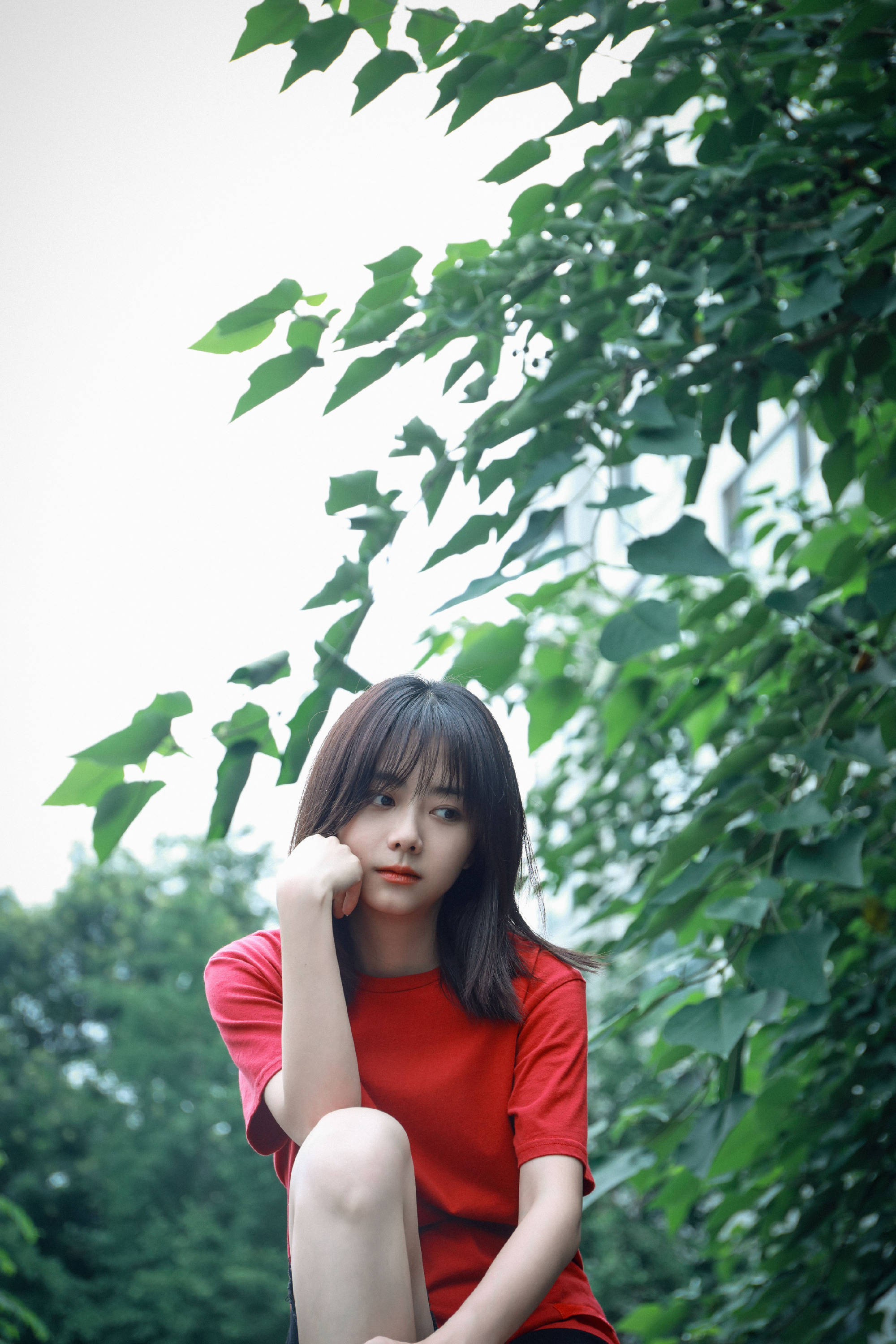 美女图——谭松韵