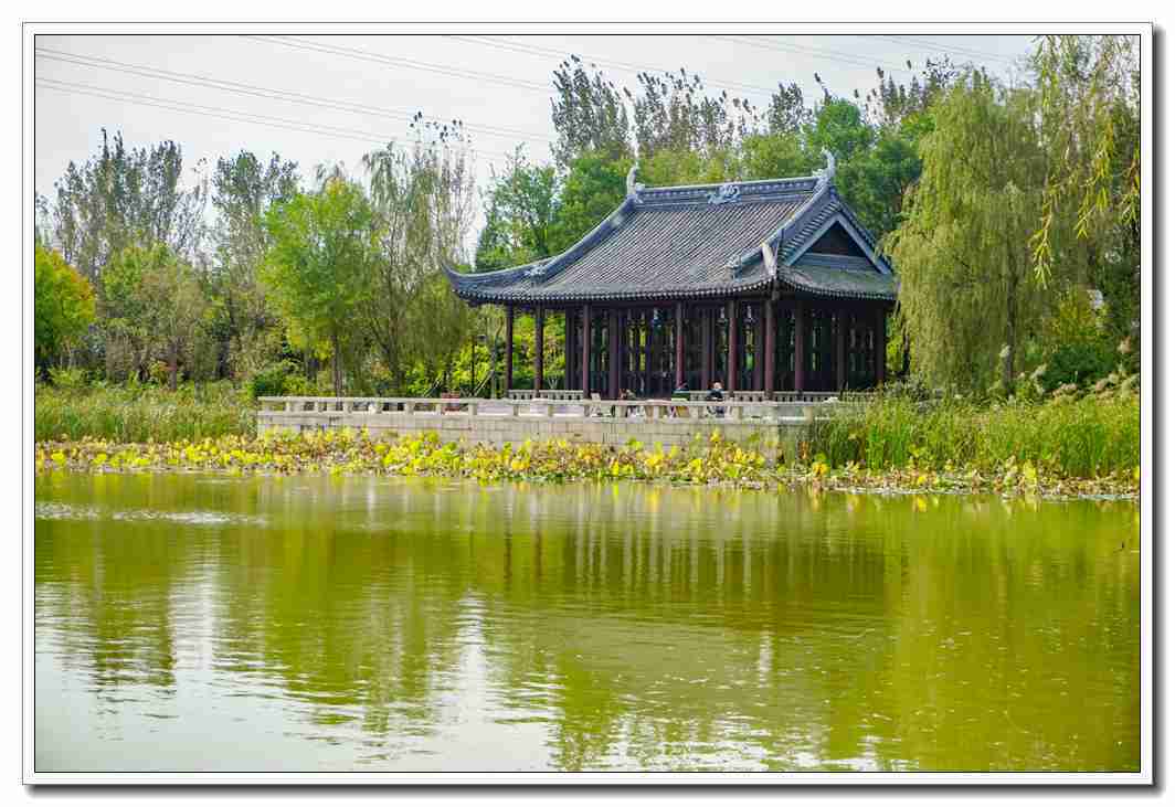 原创北京秋游白各庄绿洲水乡公园