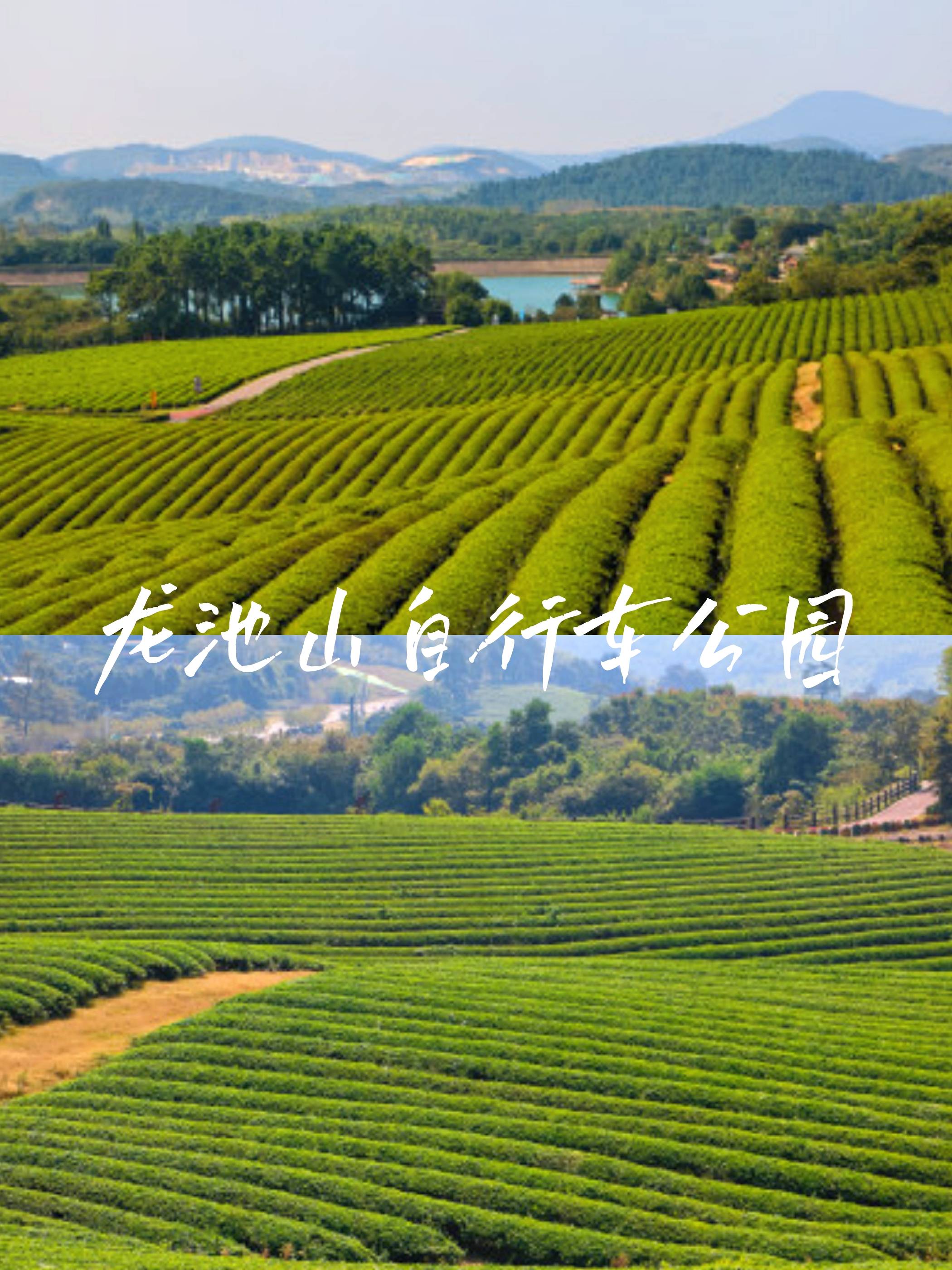 竹海,水库,可以自带一些零食和水果,也可以烧烤门票:免费2,龙池山