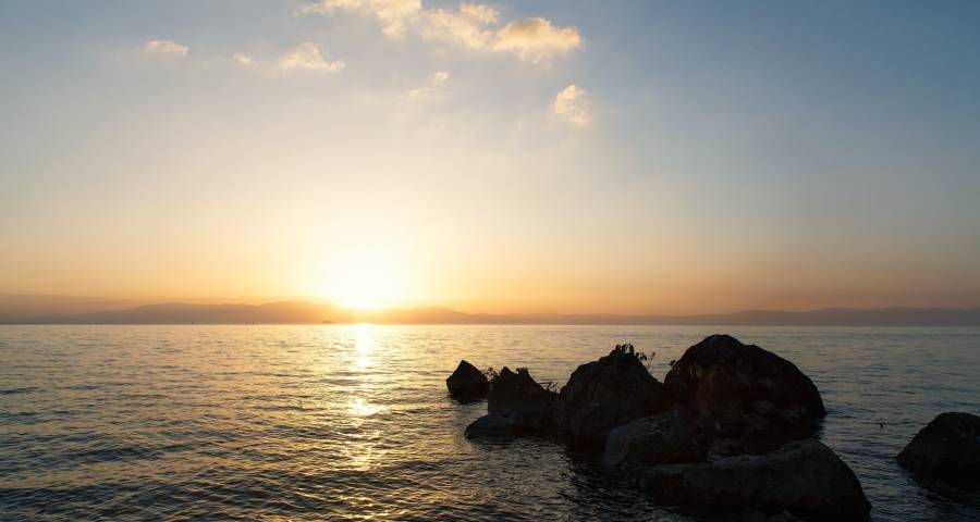 来自零售商对于家电企业的四点忠告-家电圈官网