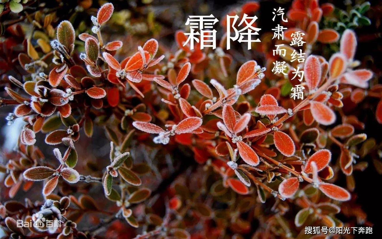 因为霜降将至！皙活分享深秋时节护肤和养生指南！