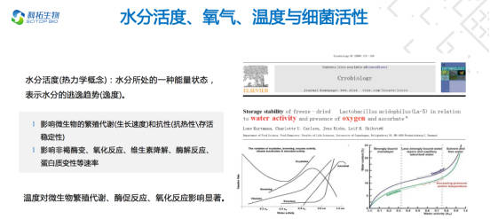 菌种|包维臣：科拓生物益生菌（乳酸菌）关键加工技术优势大盘点
