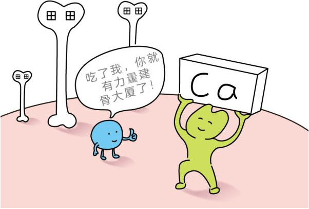 钙离子吸收部位在小肠,肽在小肠可以捕捉周围环境的钙离子,和钙离子