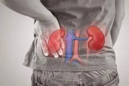 症状|痛风合并痛风性肾病该如何治疗？