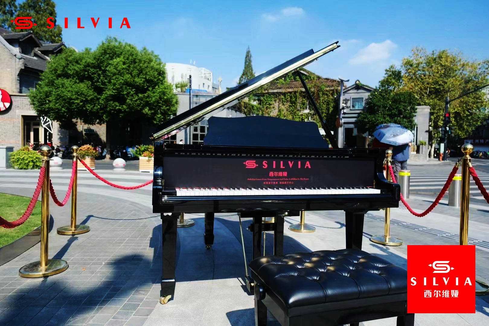 西尔维娅钢琴完美的细节成就独特的艺术杰作