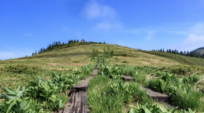 今年双十一彩电市场很诡异，竞争主角大变但格局会变吗？-家电圈官网