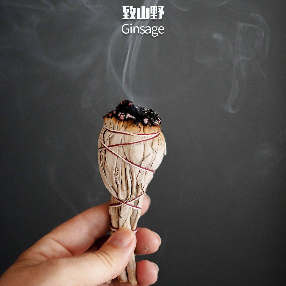 燃烧白鼠尾草到底有什么好处?