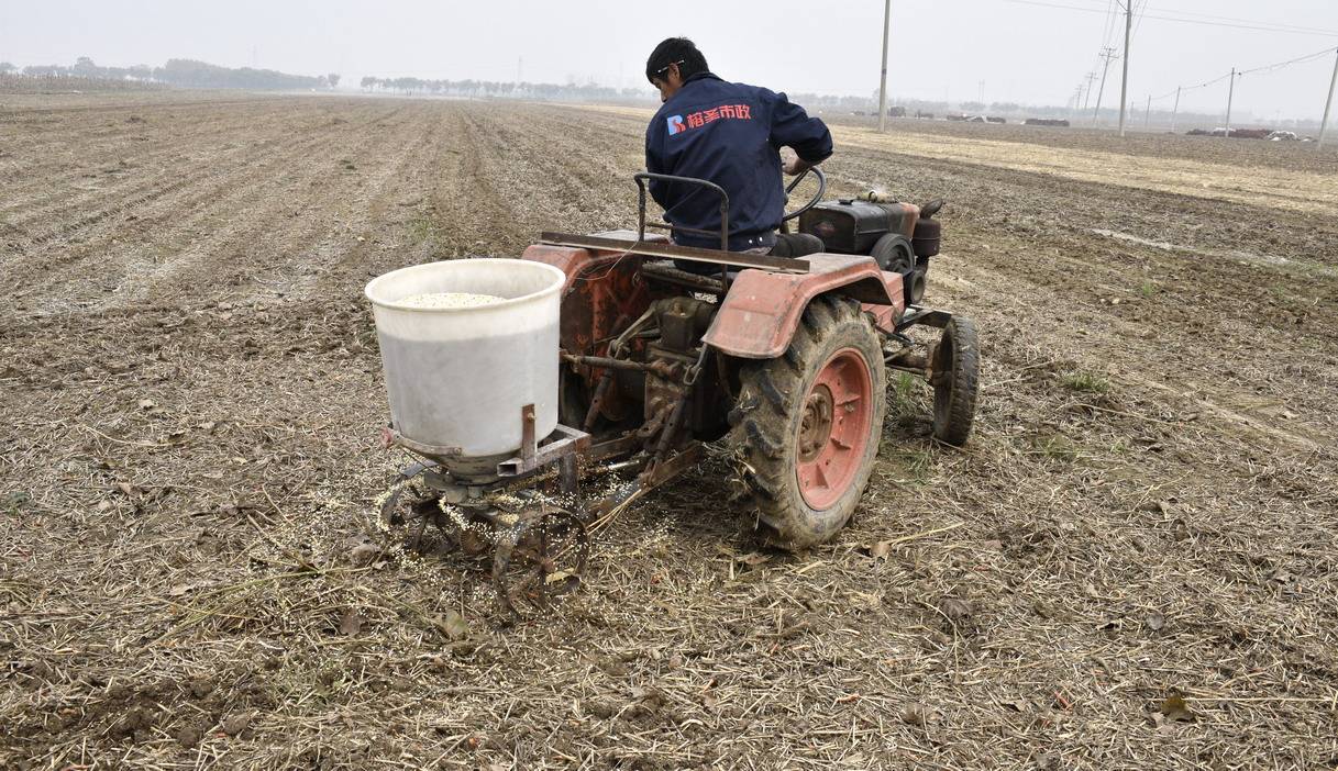 鄢陵县只乐镇小沟孙村农民播种忙_小麦