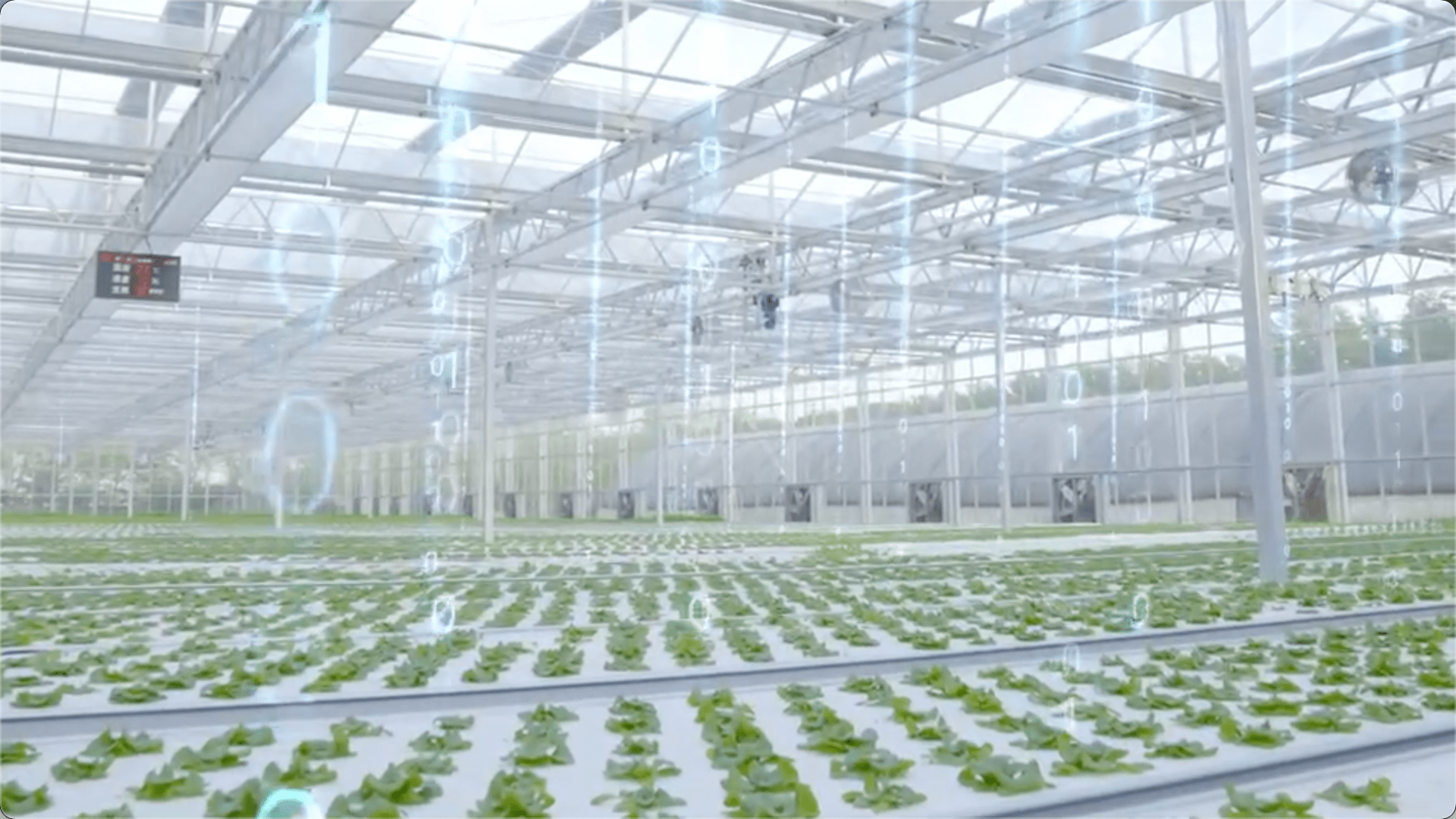 ai赋能农业百度easydl京东方裕农联合打造智慧植物工厂