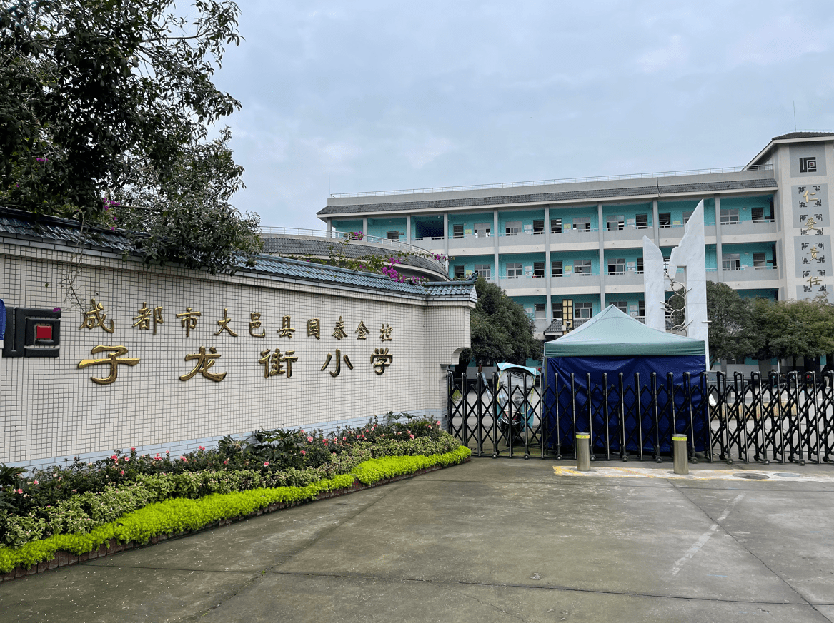 大邑子龙街小学简介图片