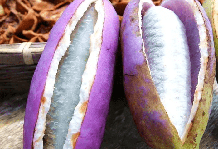 紫色,果实为不规则的椭圆形,切开果实可以发现八月瓜的果实呈现乳白色