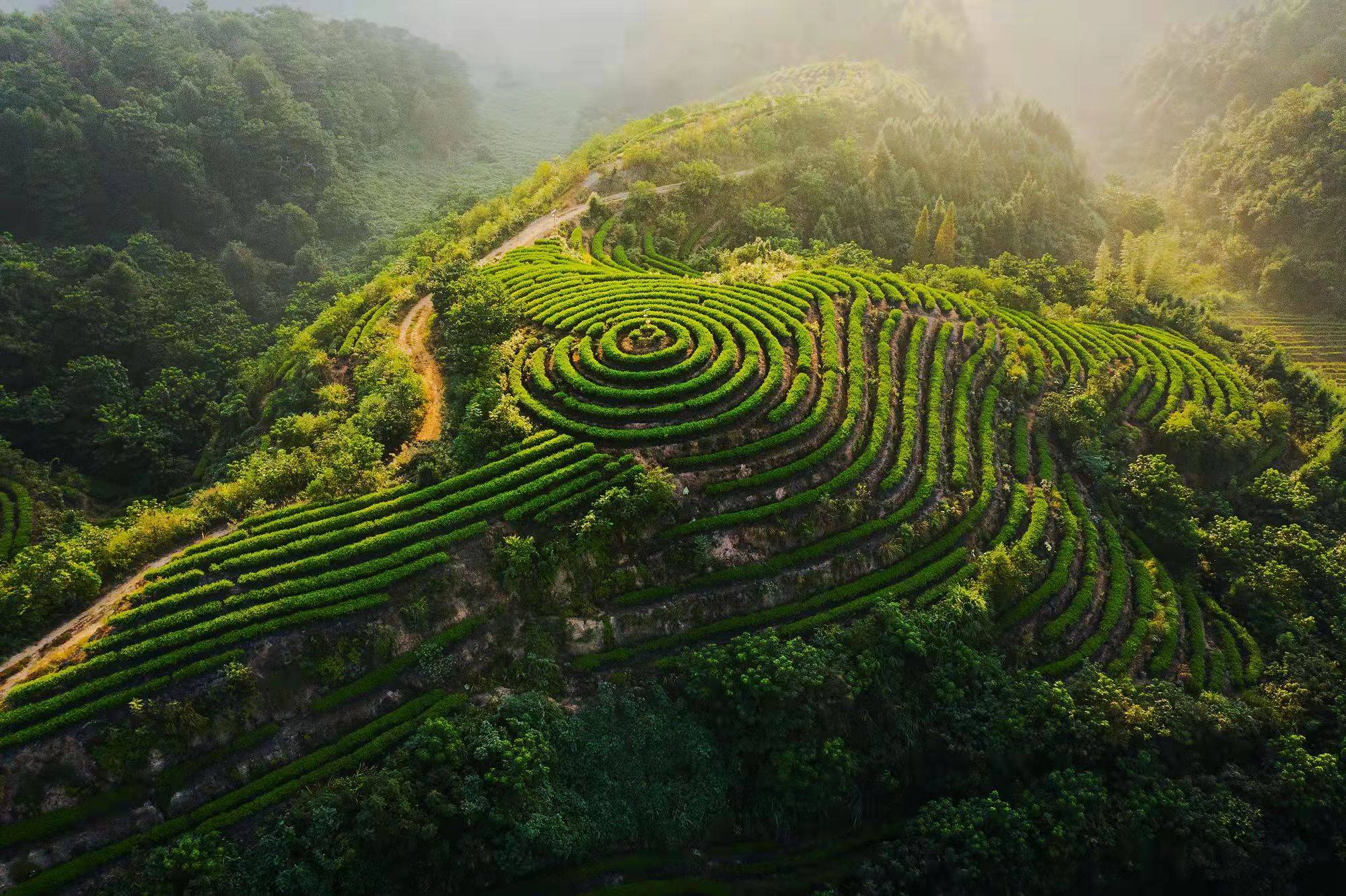 因为|在英雄的故乡，弋阳叠山，喝杯茶长志气