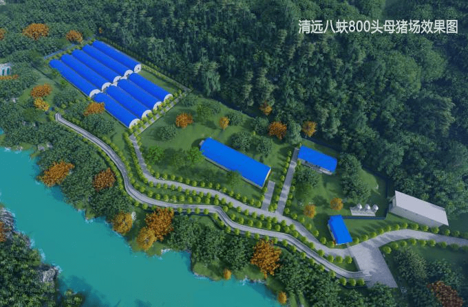 广州专业养猪场设计公司设计分区明确合理打造阳光猪舍