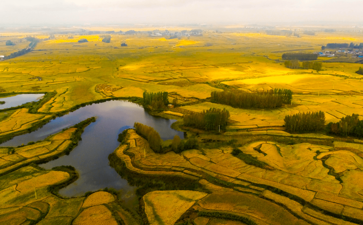 十月稻田荣登跨时代消费创新发展企业50强榜单