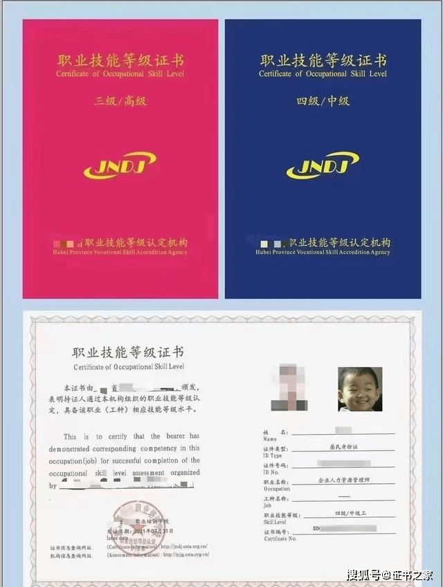 带你全面了解三种电工证,值得收藏_证书