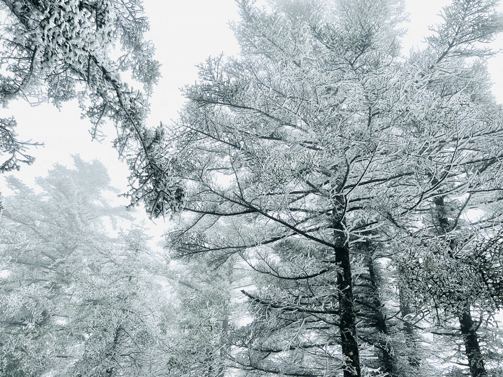 太白山|气温虽降 福利暖心 太白山又为您送来一波冬日优惠