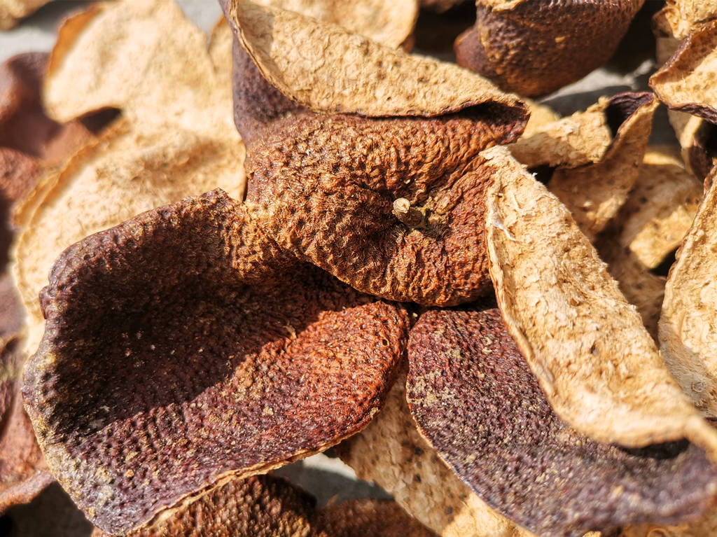 经验教程|元代太医善用陈皮入膳做食疗